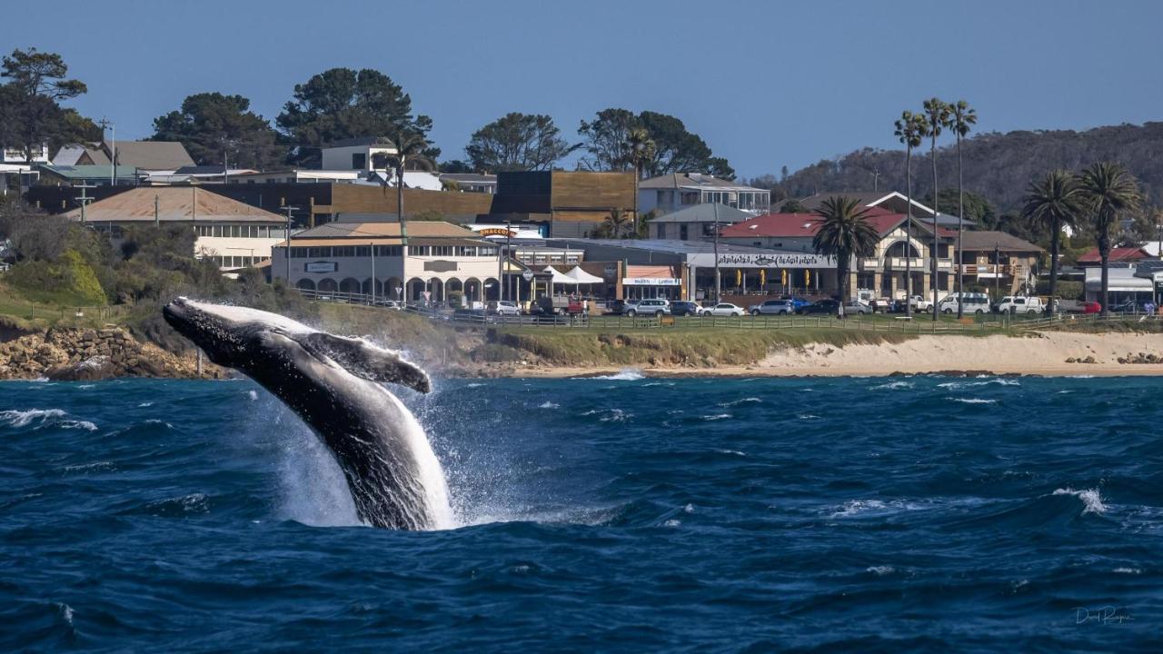 Bermagui Beach Hotel Esterno foto